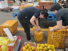 -三亚新鸿港水果一级批发市场