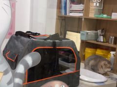 -艾贝尔宠物医院·24H转诊中心·肿瘤猫专科(江宁双龙店)