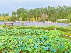 -静之湖度假区