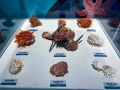 -陕西自然博物馆