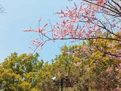 -北京植物园南门售票处