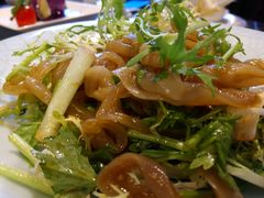 苦菊象拔蚌-羊城酒店·中餐厅