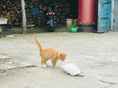 -庆岭迎宾园正宗活鱼馆