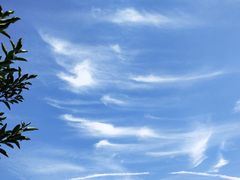 -成都市郫都区唐昌战旗小学