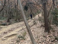 -采石矶景区