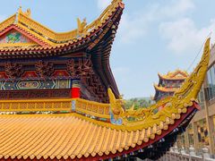 -东莞市大岭山森林公园