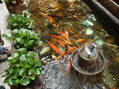 -有梦特色餐厅(古子城店)