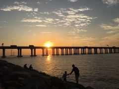 -宝安西湾红树林湿地公园