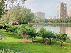 -长春市南湖公园