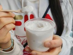 手工椰子雪糕-洪馨椰子