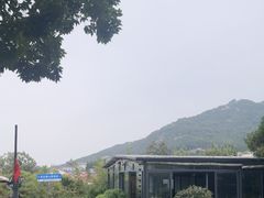 -蘇河湾·新鲁菜·泰山宴(泰山店)
