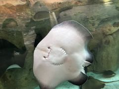 -珠海长隆海洋王国