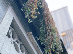 -小洲村