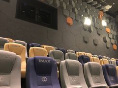 -星河寰宇IMAX影城(星河WORLD·COCO Park店)
