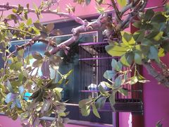 -俏江南天津时尚曲艺主题餐厅(马场道店)