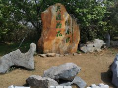 -天适樱花悠乐园