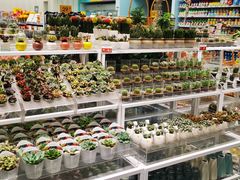 -KKV(深圳宏发大仟里店)