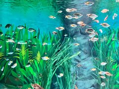 -上海海洋水族馆