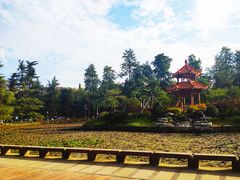 -四川大学(望江校区)