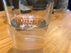 -Elephant Grounds(STARSTREET)