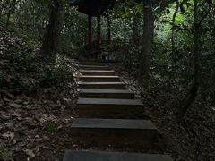 -上海佘山国家森林公园西佘山园