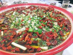 -东吴霸王兔(松青路店)