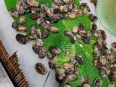 鲍鱼-圣罗巴甄选自助(麦凯乐店)