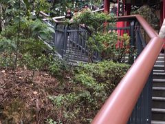 -金鸡山公园