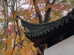 -秋霞圃