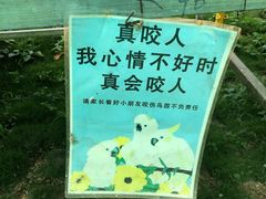 -观澜山水田园