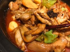 -云海肴·汽锅鸡·云南菜(天山百盛优客店)