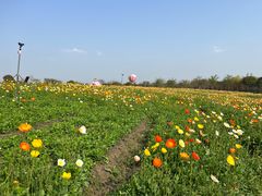 -歌斐颂巧克力小镇