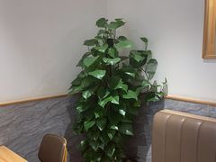 -宋益驴蹄子面肉夹馍(辛家庙店)