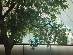 -黑牛の店·黑金店(沈阳万象城店)