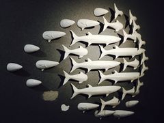-浙C老邻舍(西城海错店)