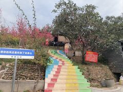 -桃源山庄·水蜜桃采摘·柴火鸡·烧烤团建(龙泉山店)