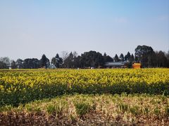 -中国天府农业博览园