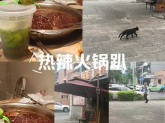 -深圳野生动物园