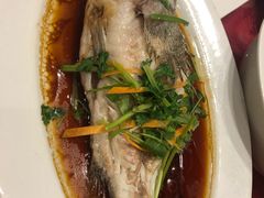 -上海国际饭店