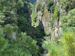 -苍山感通索道
