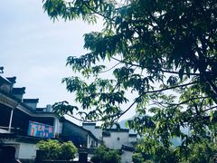 -绩溪龙川景区