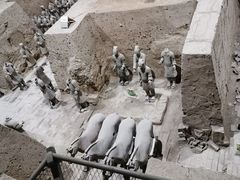 -秦始皇帝陵博物院(兵马俑)