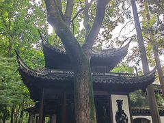 -汇龙潭