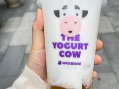 -一只酸奶牛(八一路店)