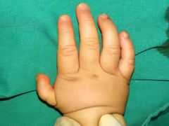 -华中科技大学同济医学院附属协和医院(主院区)