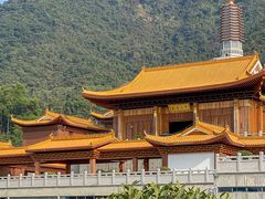 -深圳仙湖植物园