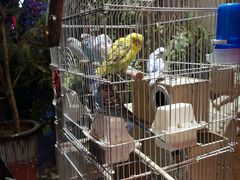 -玉桥餐厅(天坛店)