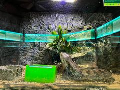 -海南热带野生动植物园