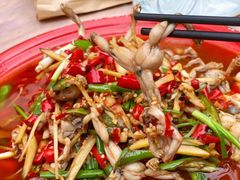 子姜切猫儿-拈一筷子·宜宾江湖菜(十一街店)