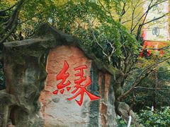-杭州黄龙洞